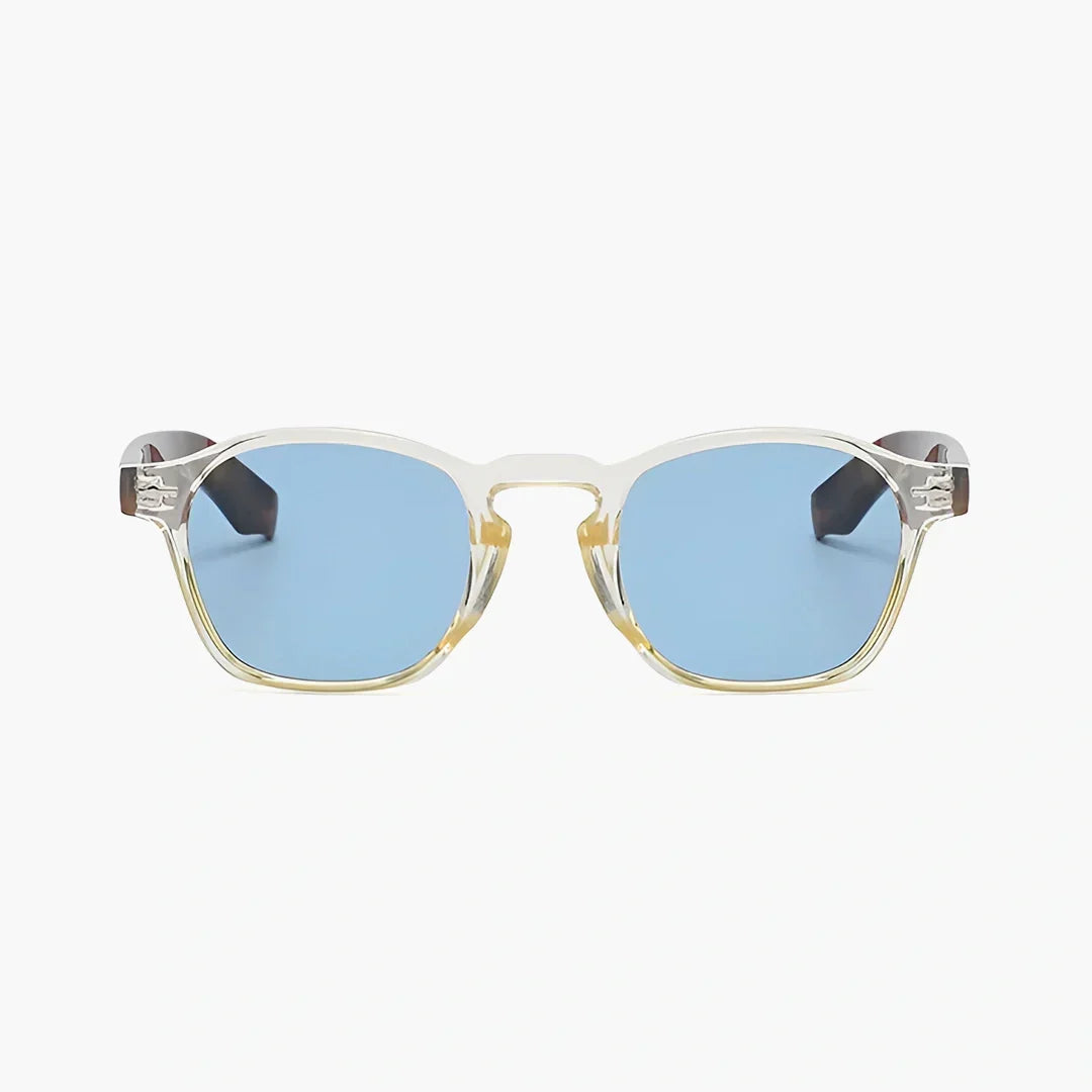 Tamsin clear frame sunglasses