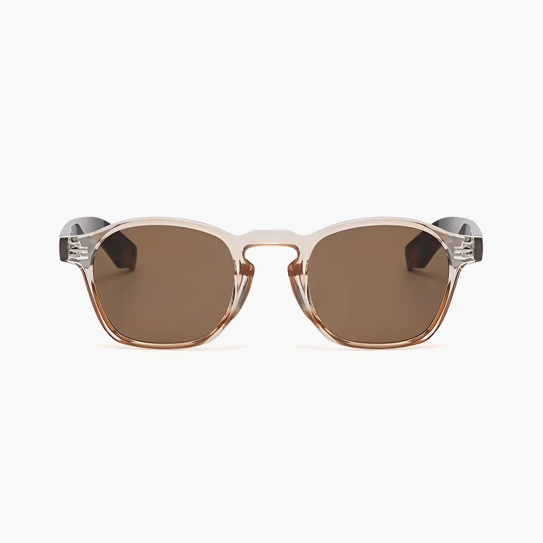 Tamsin clear frame sunglasses