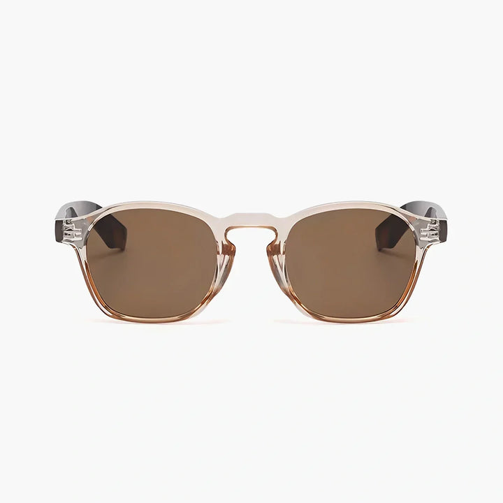 Tamsin clear frame sunglasses