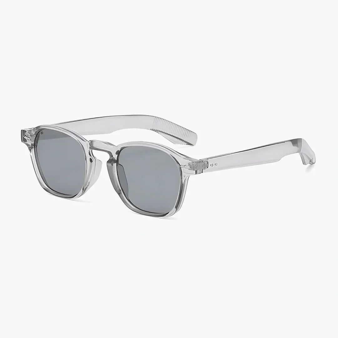 Tamsin clear frame sunglasses