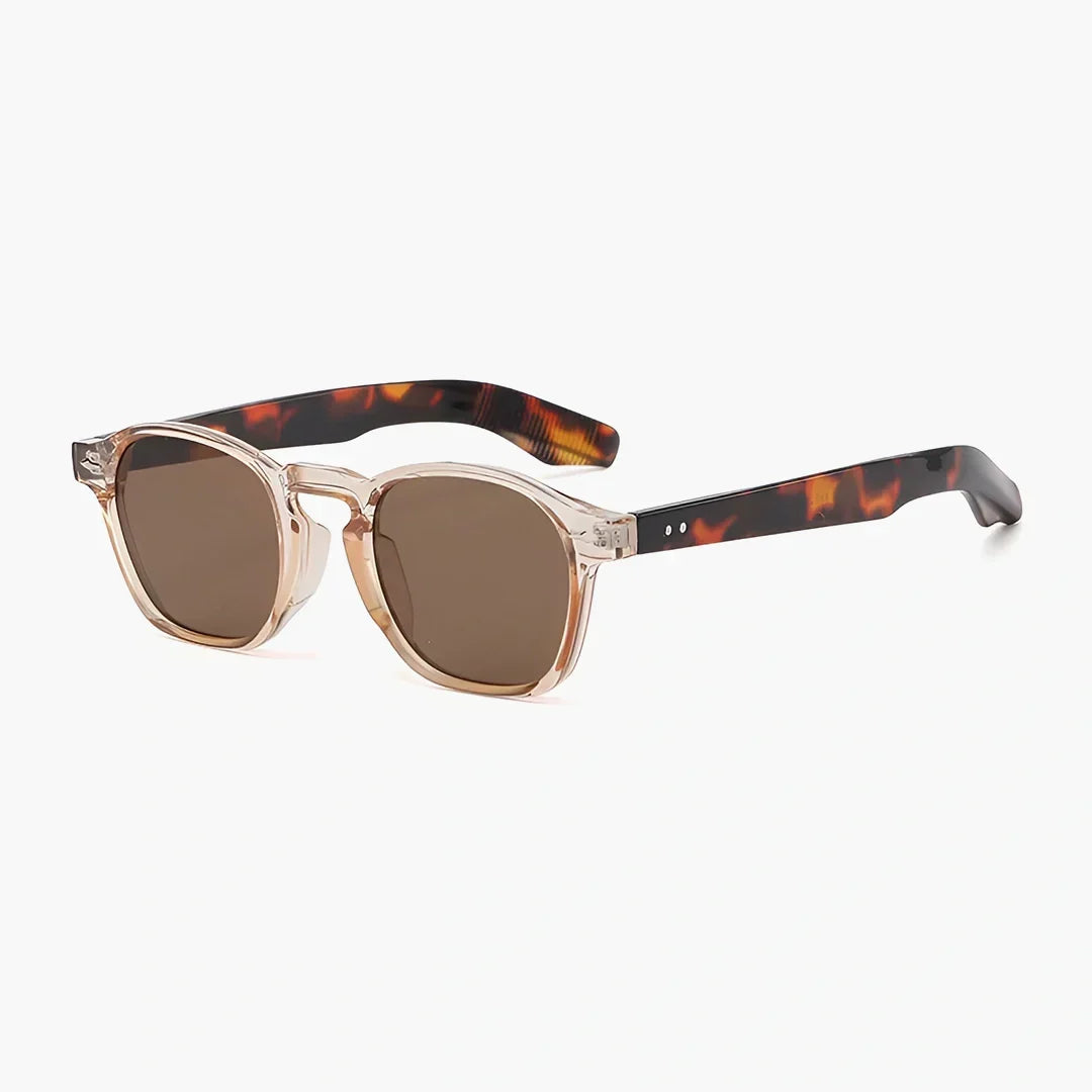 Tamsin clear frame sunglasses